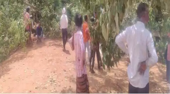 गरियाबंद में 7 लोग घायल, सुशासन तिहार में हादसा